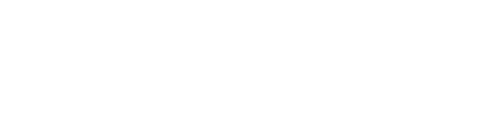 Digital Media Presence